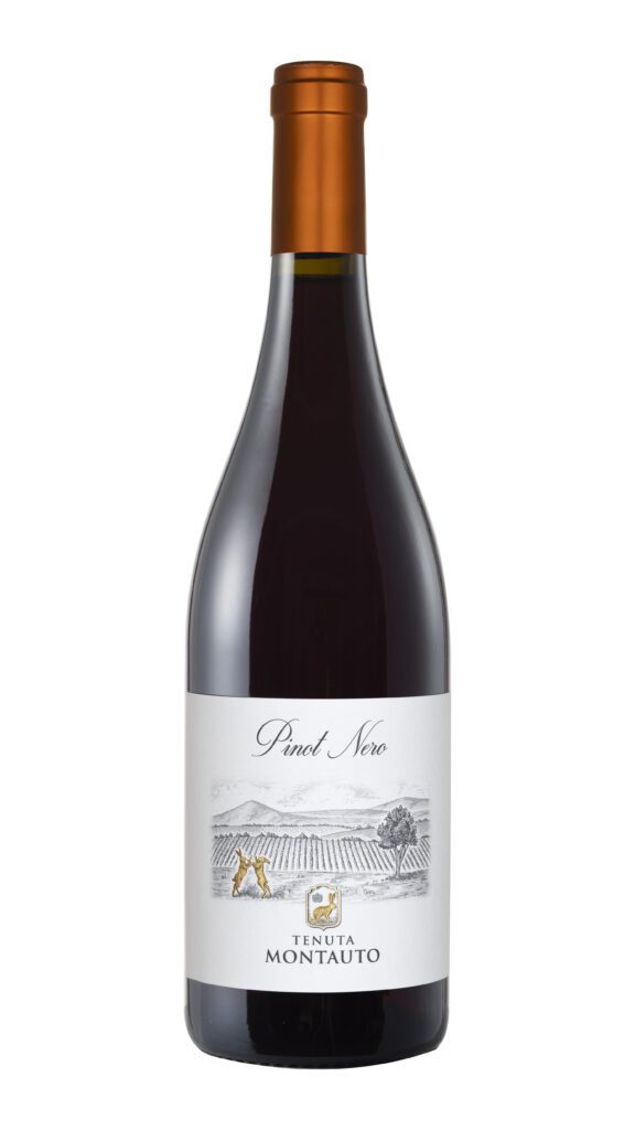 Pinot Nero – Vini Montauto