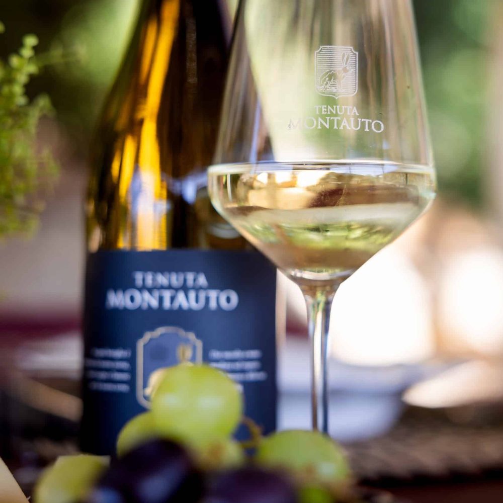 Degustazione sauvignon bianco