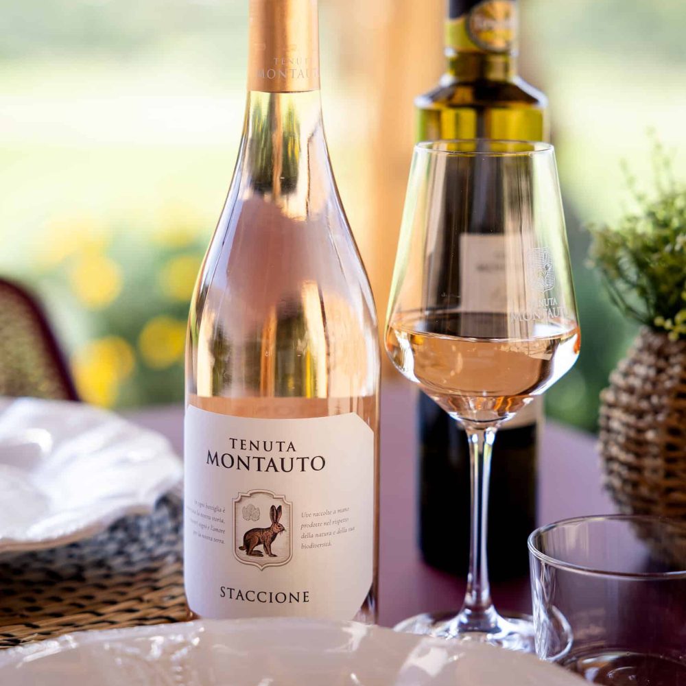Degustazione rosato sangiovese 2